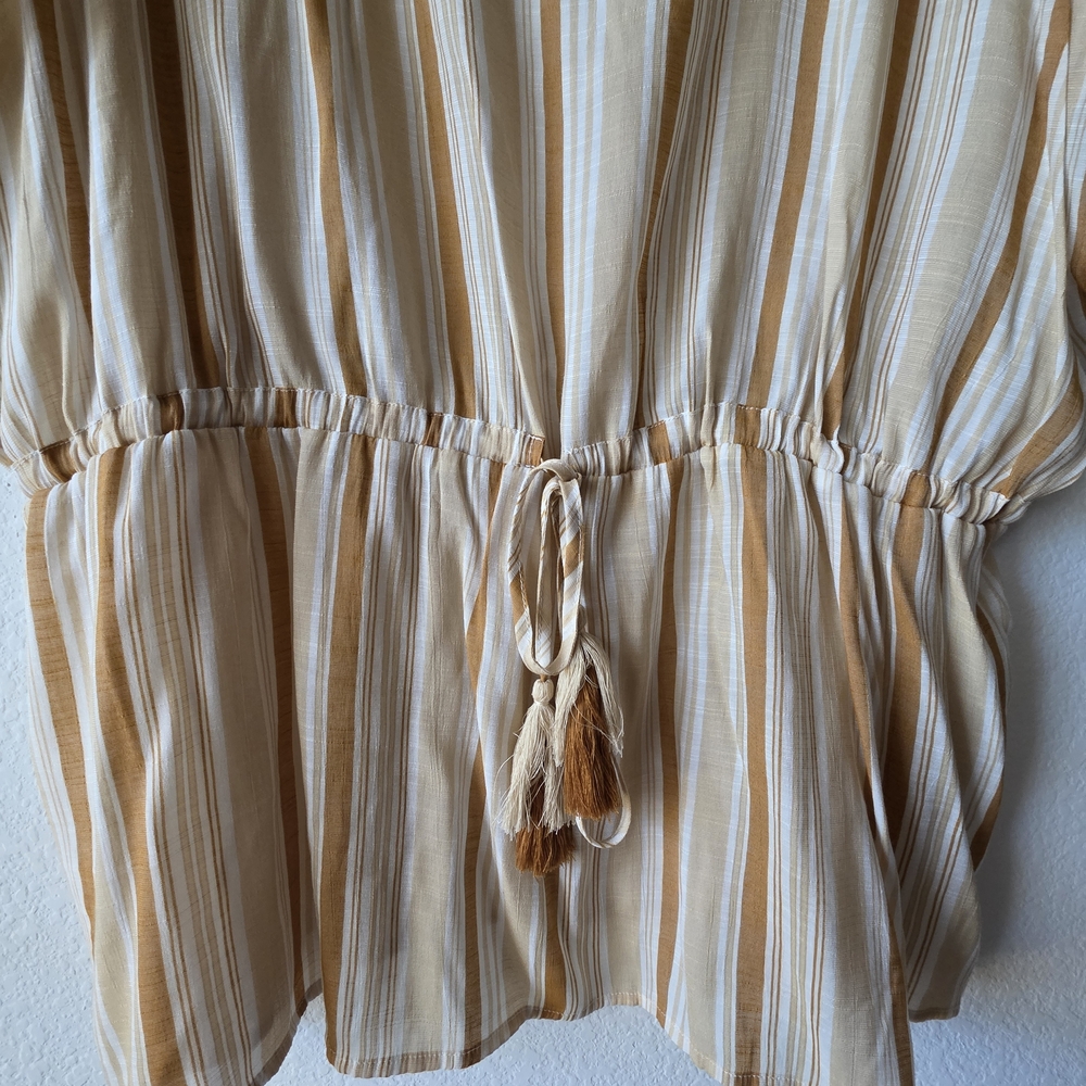 Chic Striped V-Neck Cato Plus Size Blouse - Picture 3 of 6
